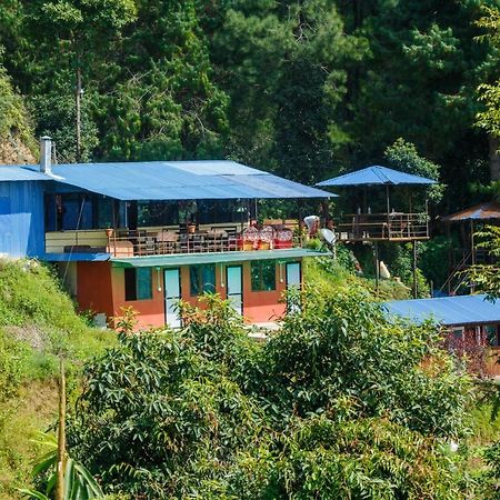 Jungle Crown Organic Homestay ناغاركوت المظهر الخارجي الصورة