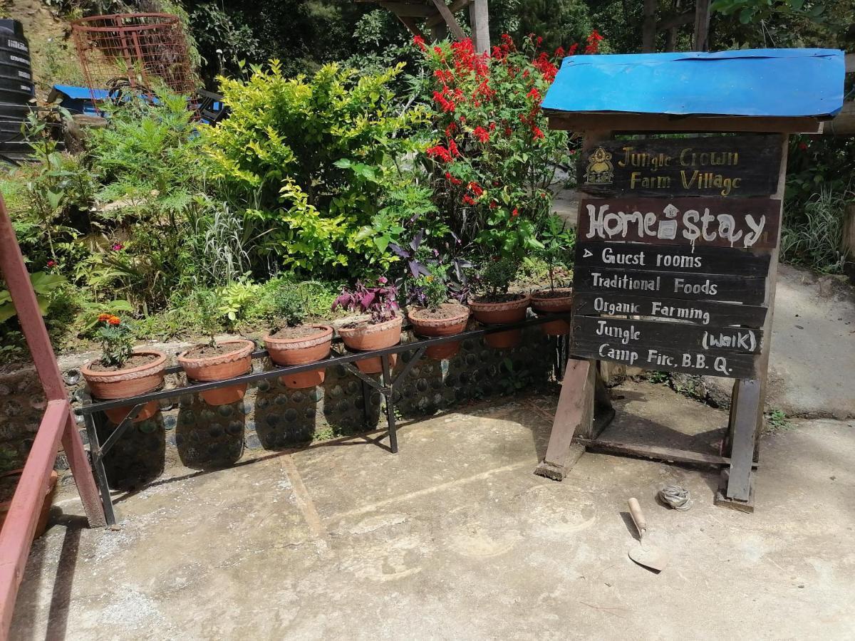 Jungle Crown Organic Homestay ناغاركوت المظهر الخارجي الصورة