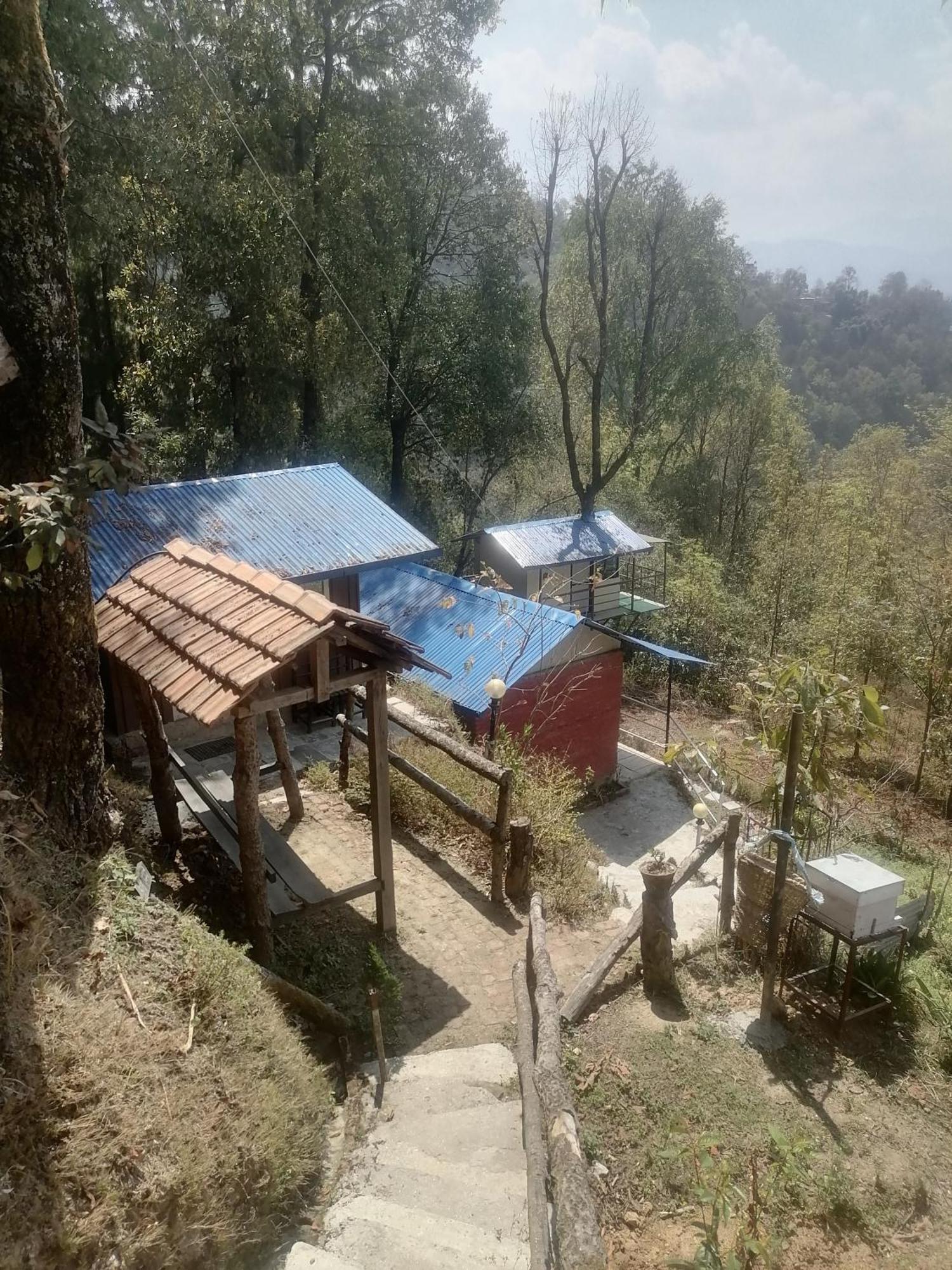 Jungle Crown Organic Homestay ناغاركوت المظهر الخارجي الصورة