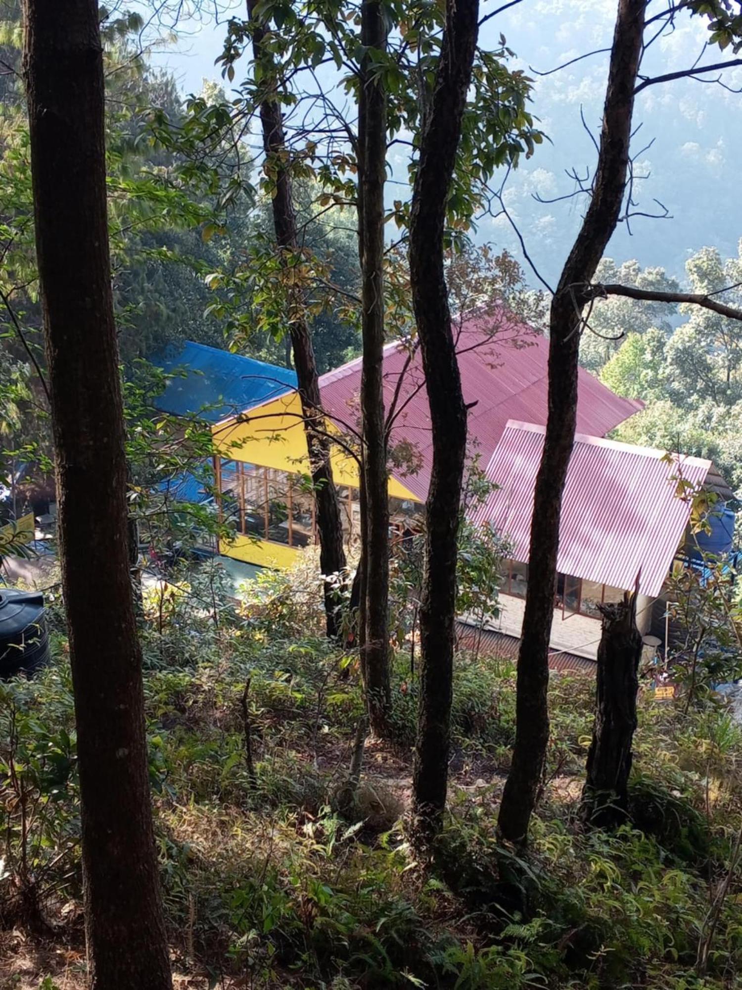 Jungle Crown Organic Homestay ناغاركوت المظهر الخارجي الصورة
