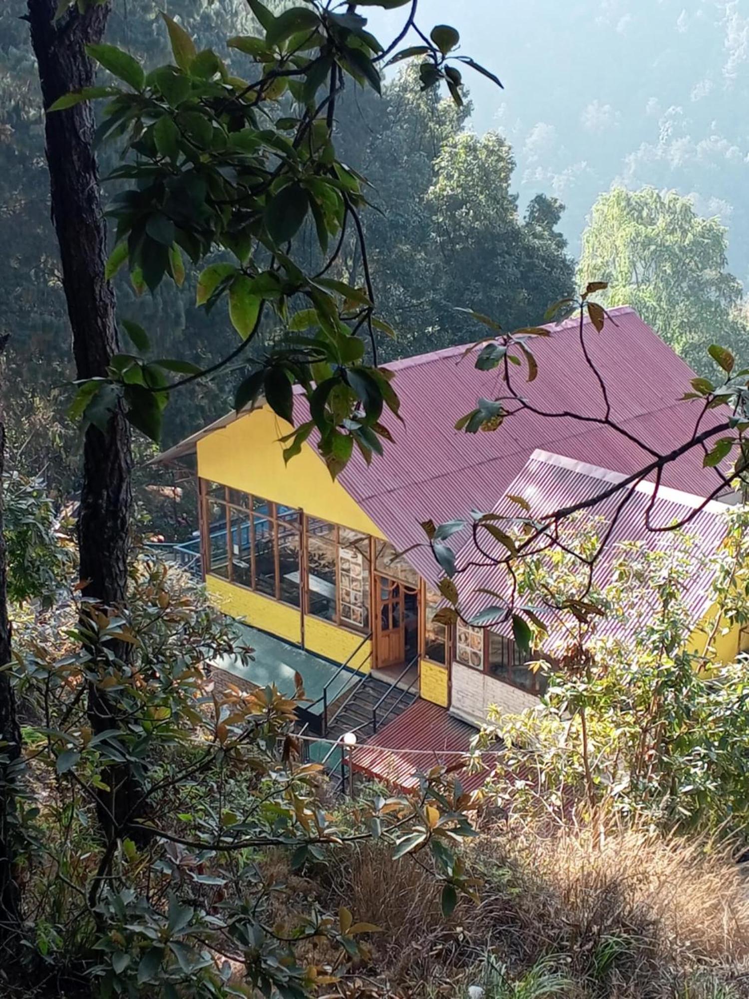 Jungle Crown Organic Homestay ناغاركوت المظهر الخارجي الصورة