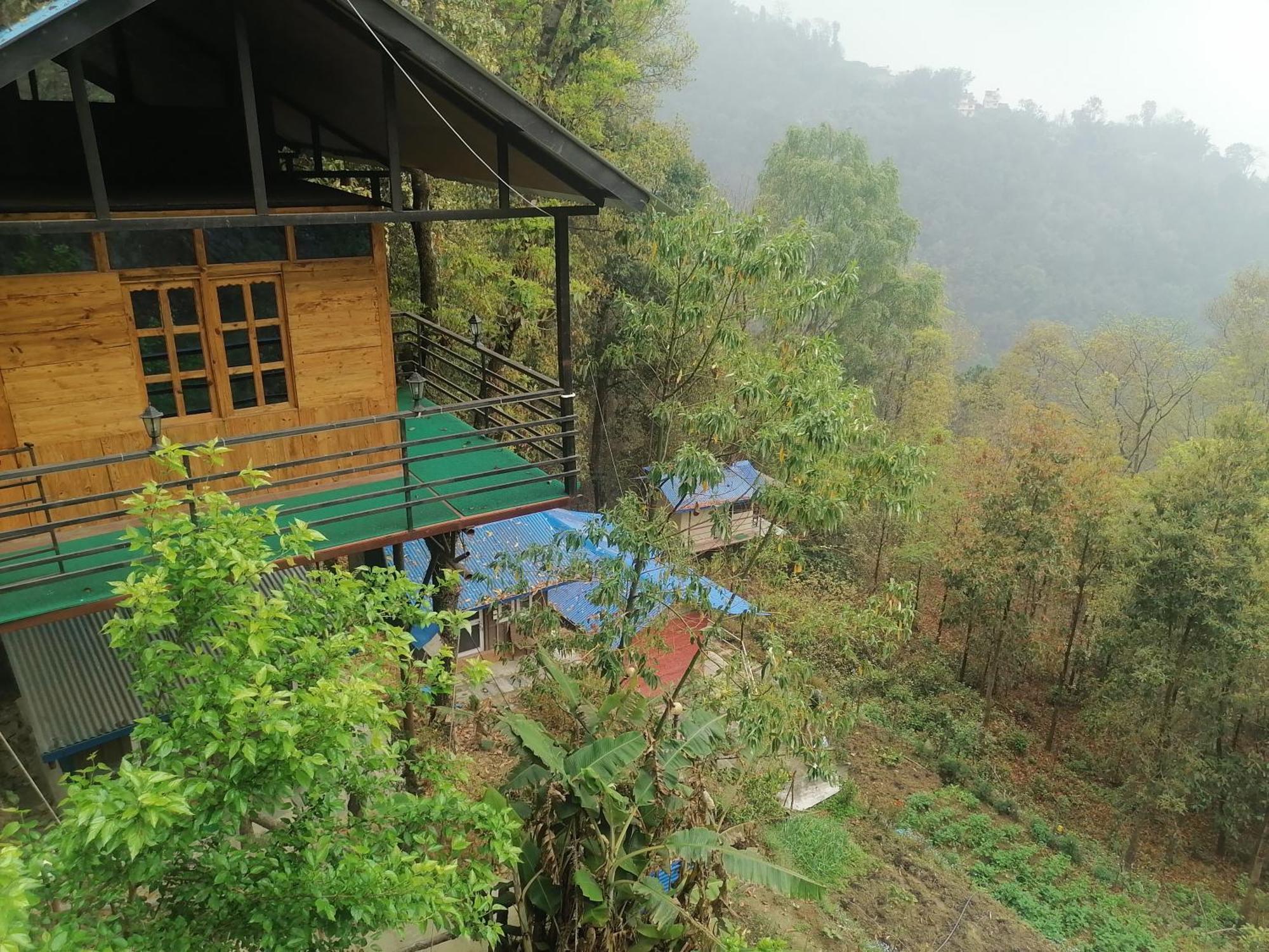 Jungle Crown Organic Homestay ناغاركوت الغرفة الصورة