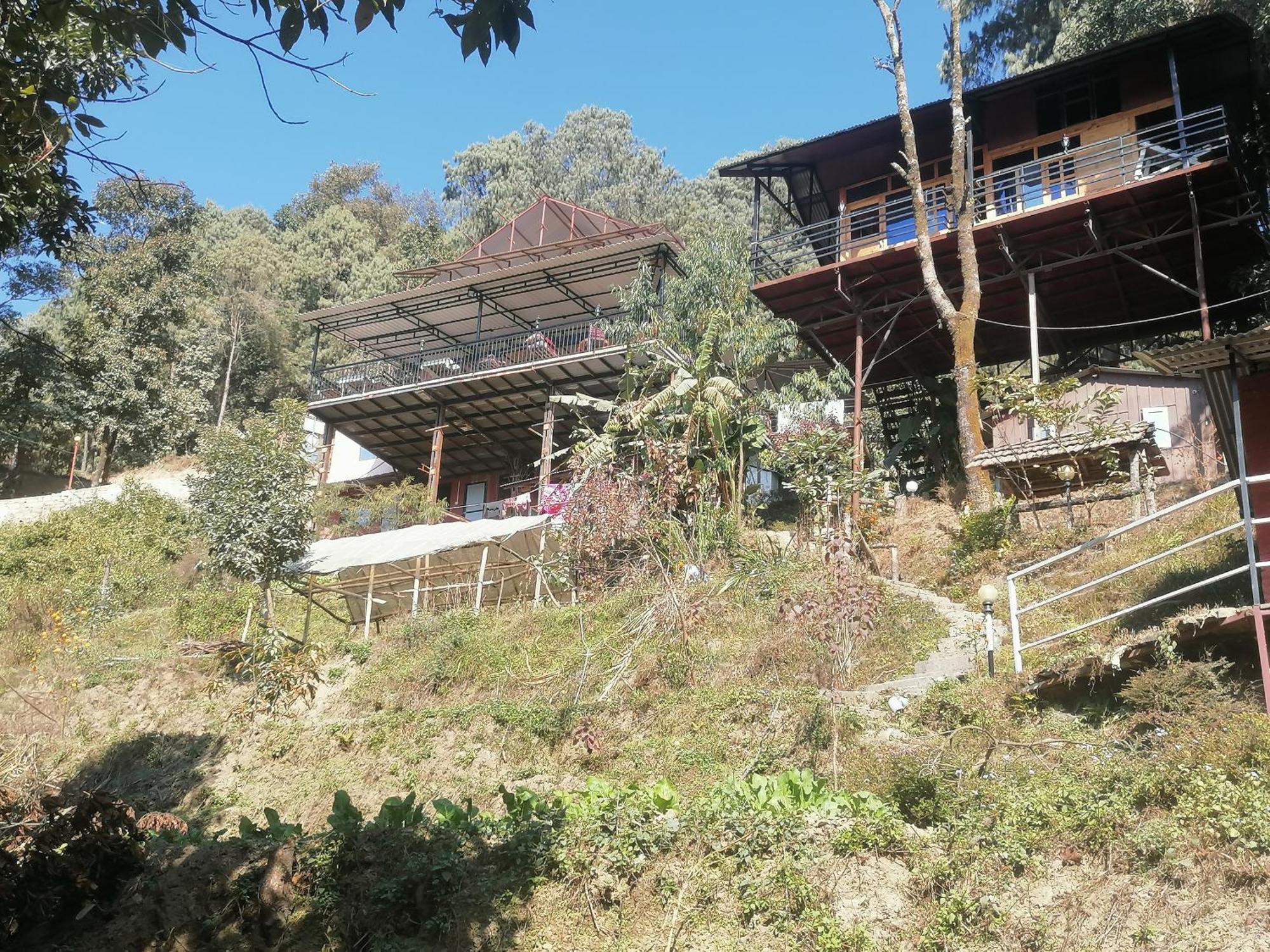 Jungle Crown Organic Homestay ناغاركوت الغرفة الصورة
