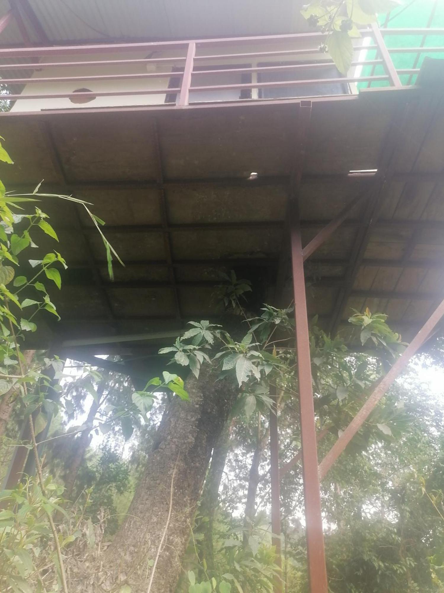 Jungle Crown Organic Homestay ناغاركوت الغرفة الصورة