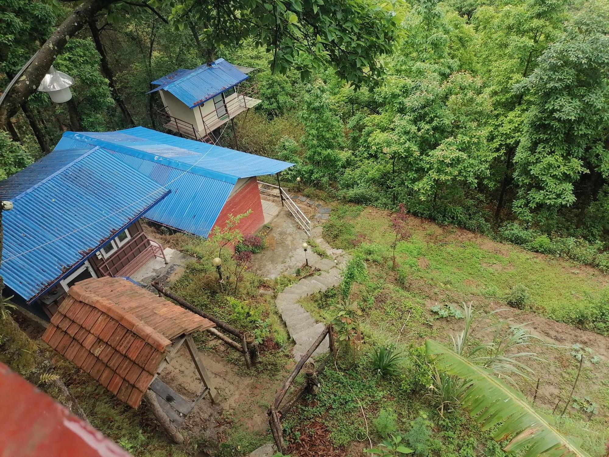 Jungle Crown Organic Homestay ناغاركوت الغرفة الصورة