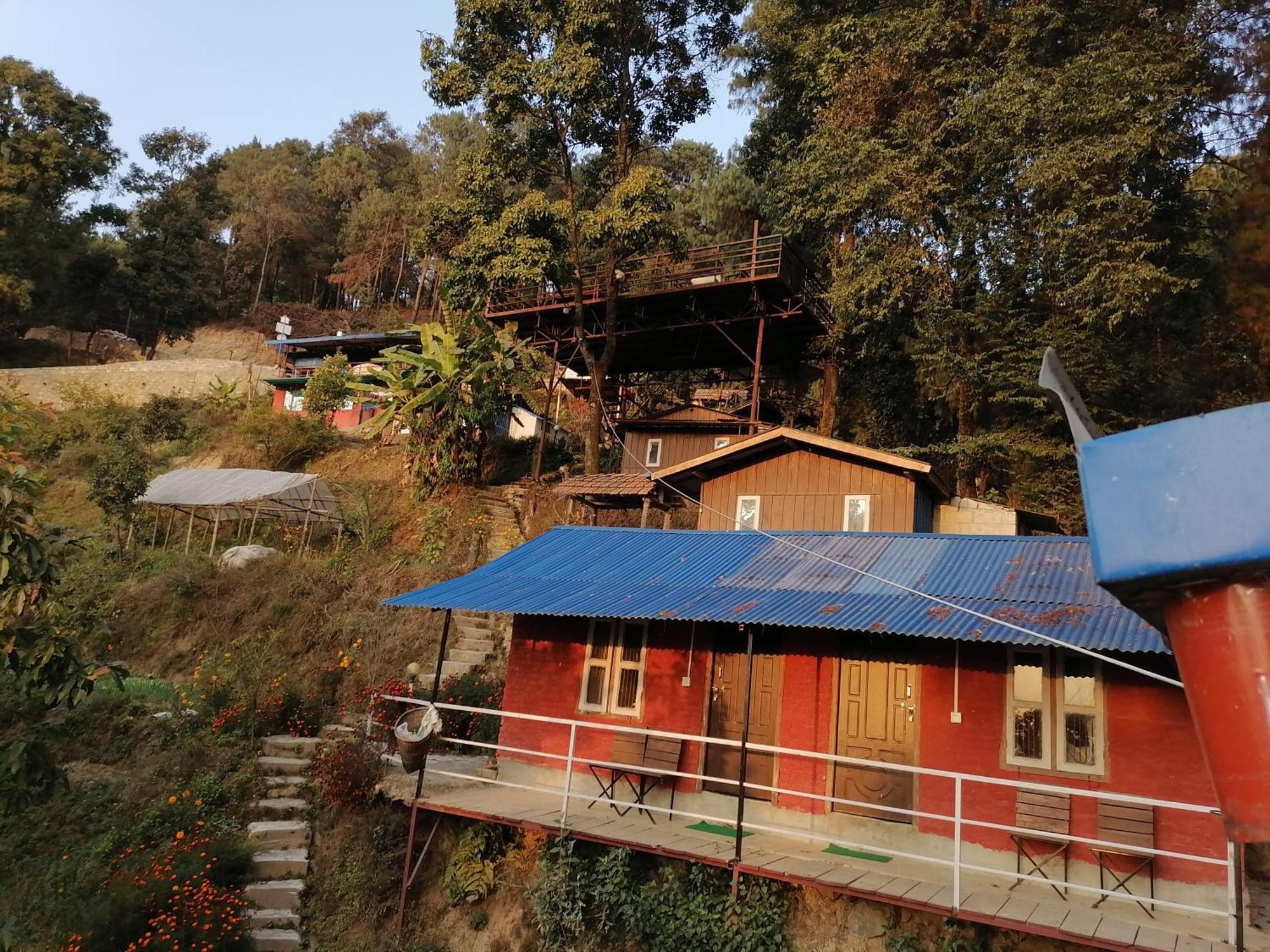 Jungle Crown Organic Homestay ناغاركوت الغرفة الصورة