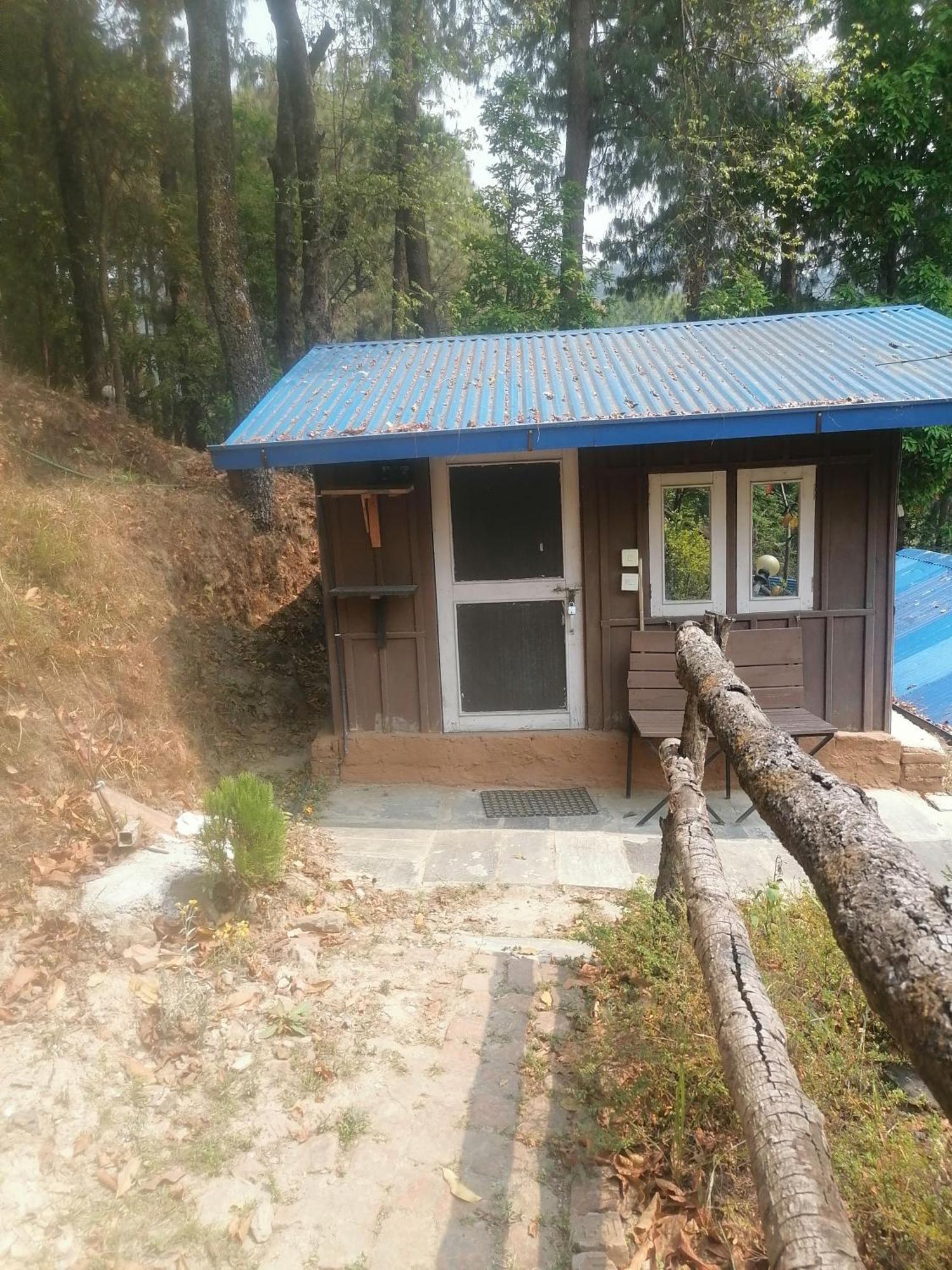 Jungle Crown Organic Homestay ناغاركوت الغرفة الصورة