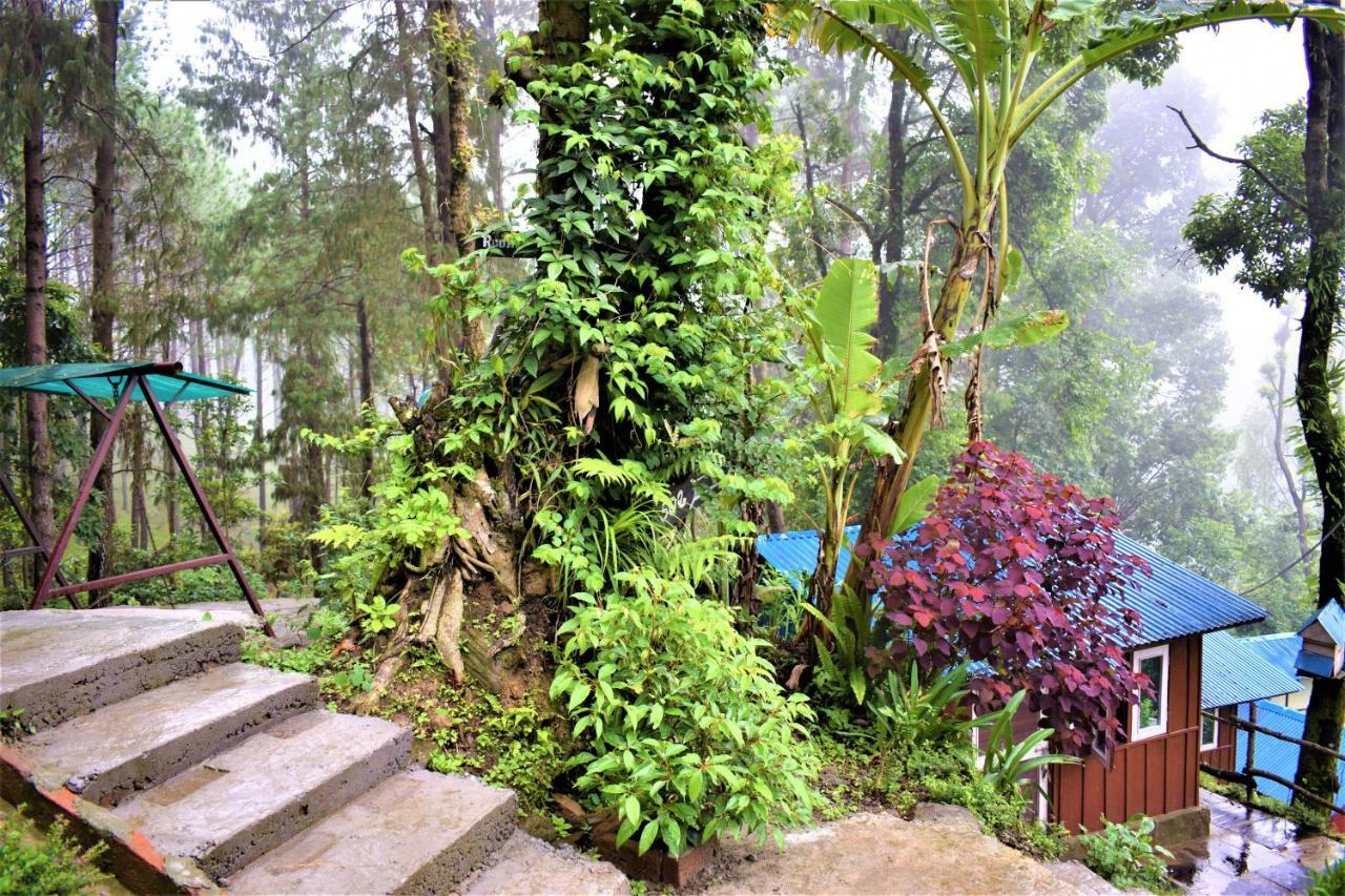 Jungle Crown Organic Homestay ناغاركوت المظهر الخارجي الصورة
