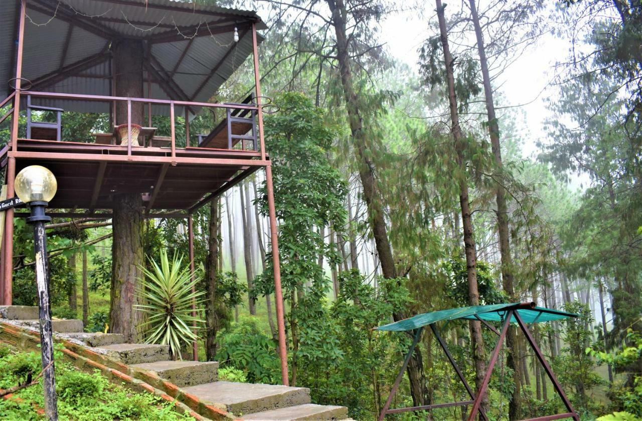 Jungle Crown Organic Homestay ناغاركوت المظهر الخارجي الصورة