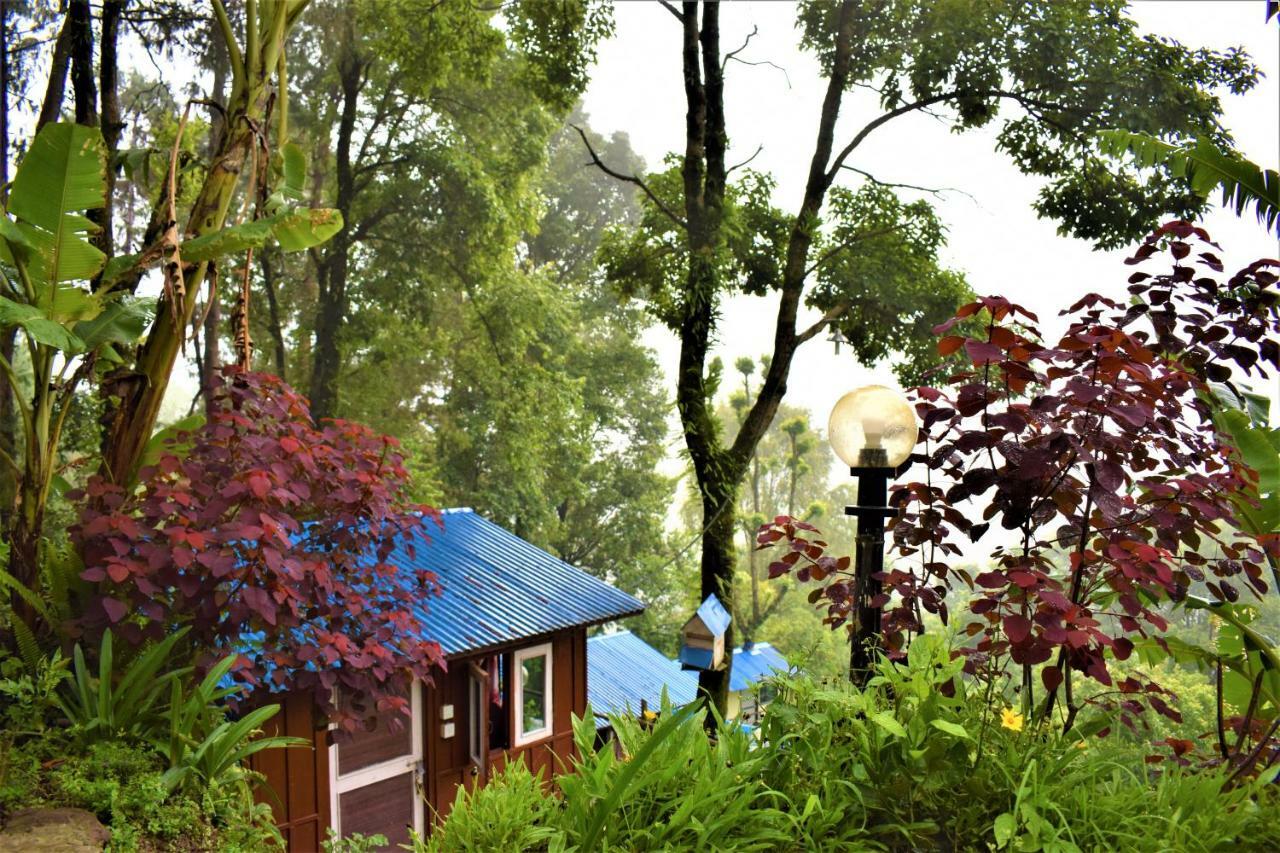 Jungle Crown Organic Homestay ناغاركوت المظهر الخارجي الصورة