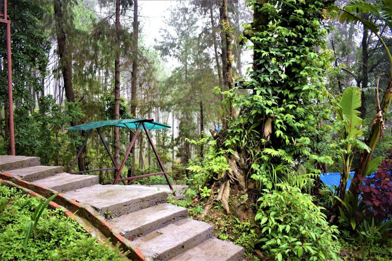 Jungle Crown Organic Homestay ناغاركوت المظهر الخارجي الصورة