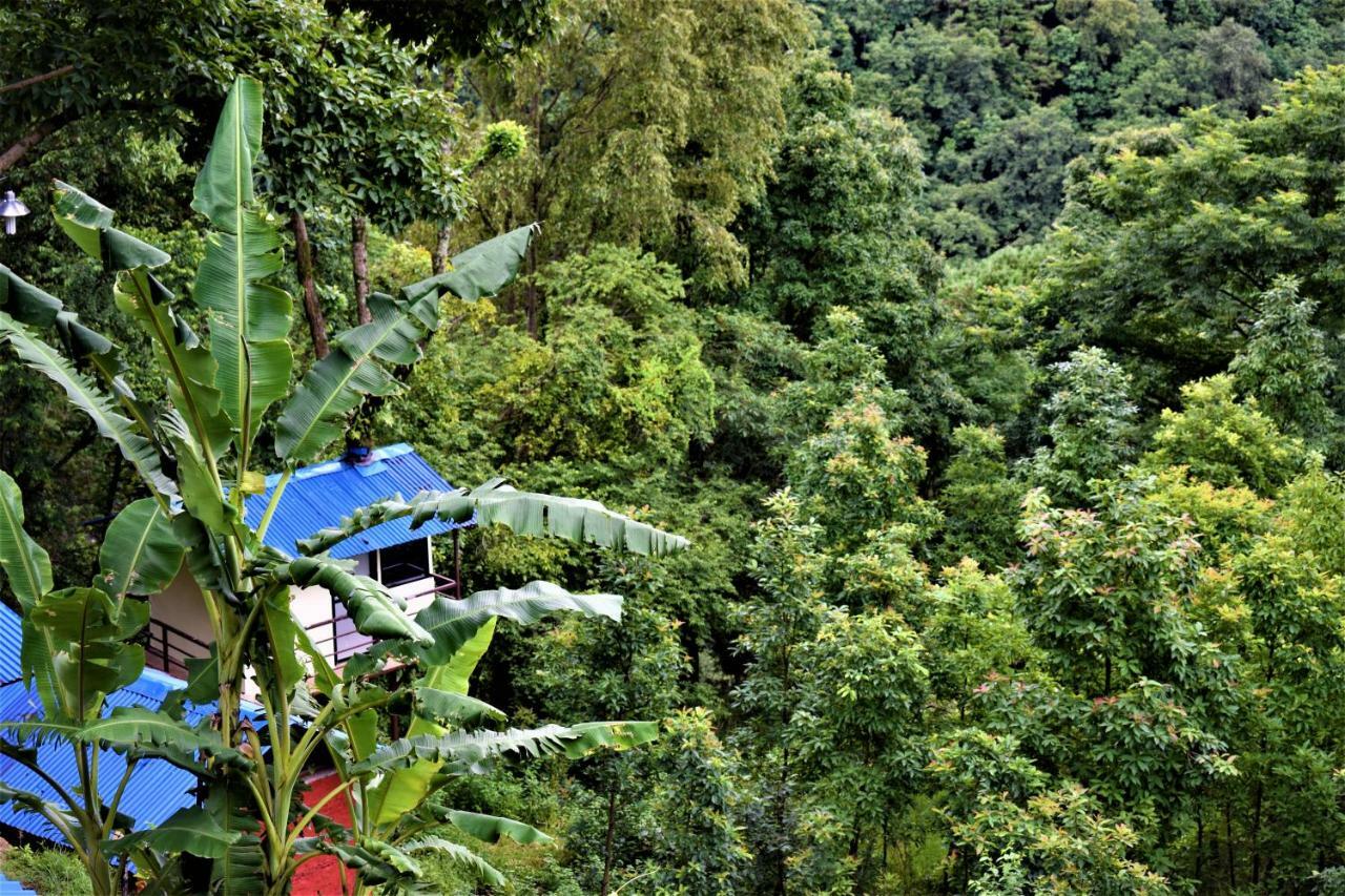Jungle Crown Organic Homestay ناغاركوت المظهر الخارجي الصورة