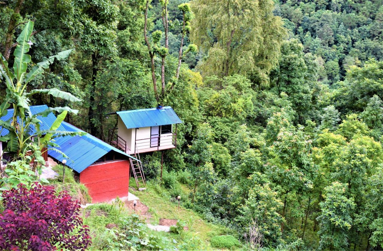 Jungle Crown Organic Homestay ناغاركوت المظهر الخارجي الصورة