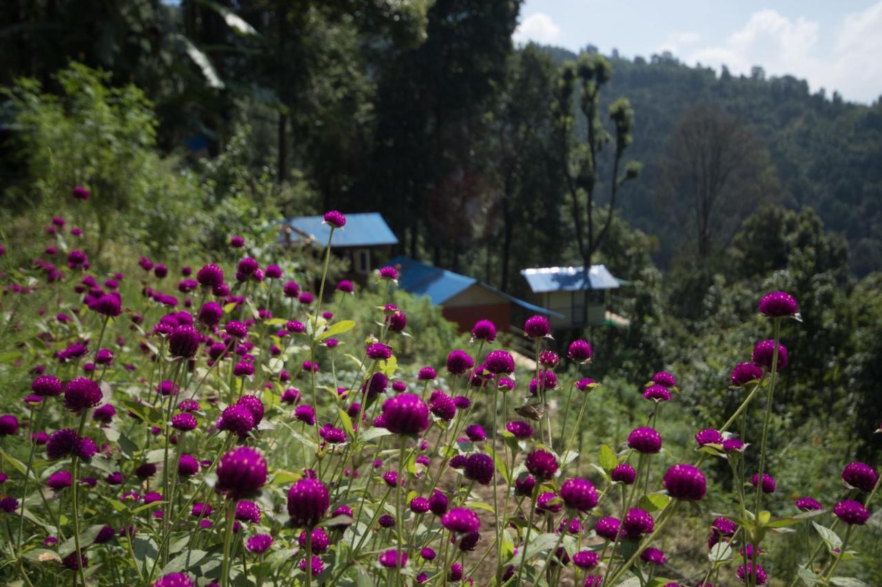 Jungle Crown Organic Homestay ناغاركوت المظهر الخارجي الصورة