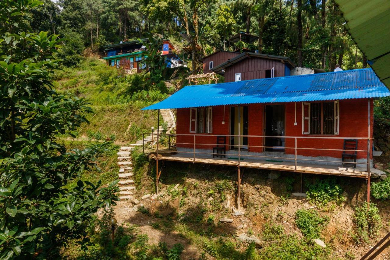 Jungle Crown Organic Homestay ناغاركوت المظهر الخارجي الصورة