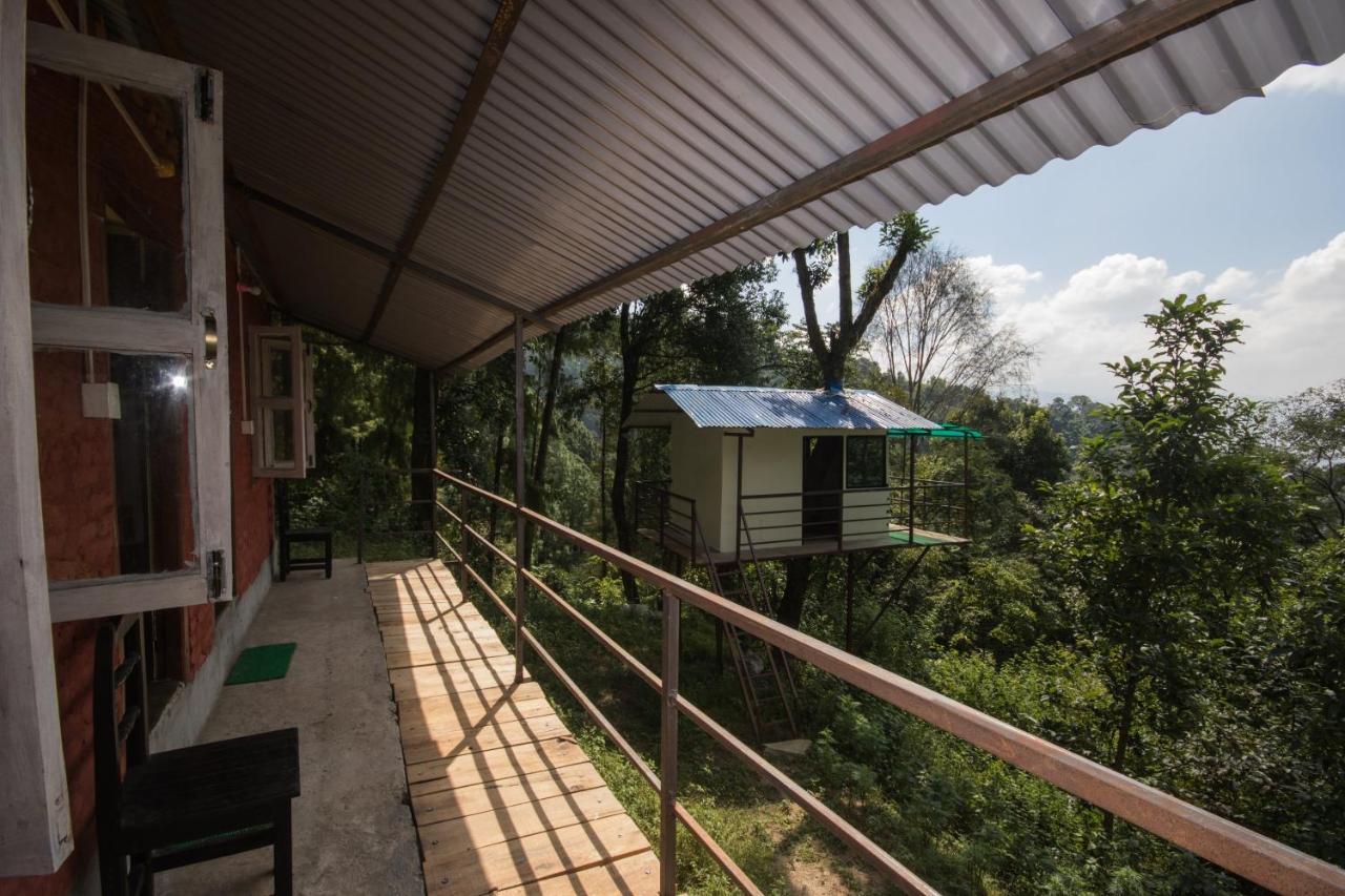 Jungle Crown Organic Homestay ناغاركوت المظهر الخارجي الصورة