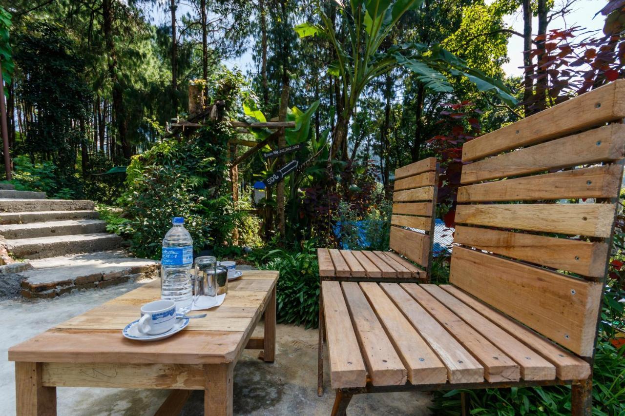 Jungle Crown Organic Homestay ناغاركوت المظهر الخارجي الصورة
