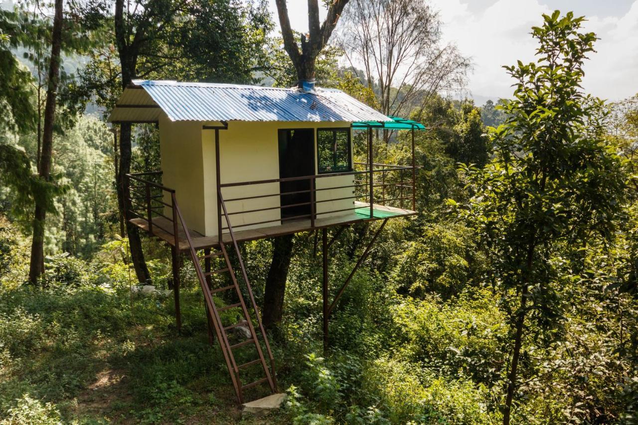 Jungle Crown Organic Homestay ناغاركوت المظهر الخارجي الصورة
