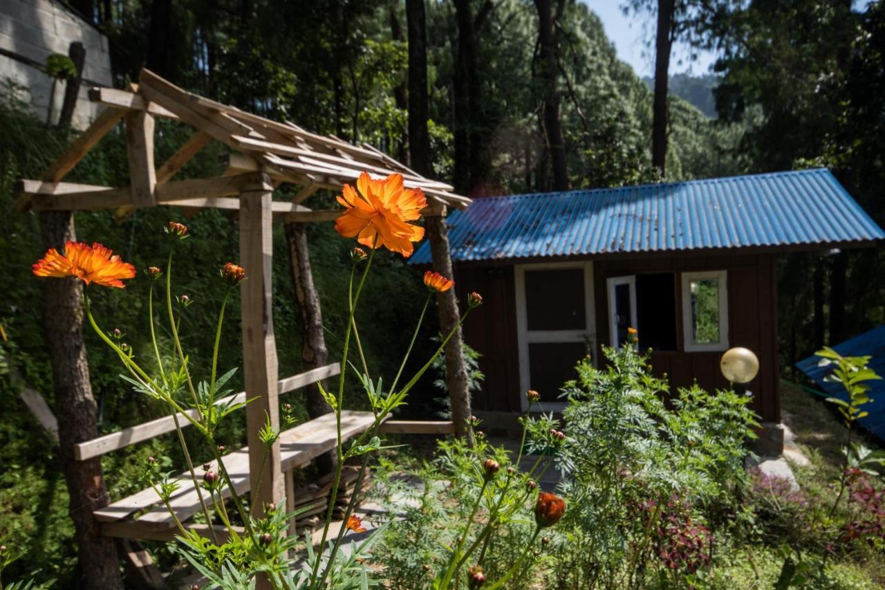 Jungle Crown Organic Homestay ناغاركوت المظهر الخارجي الصورة