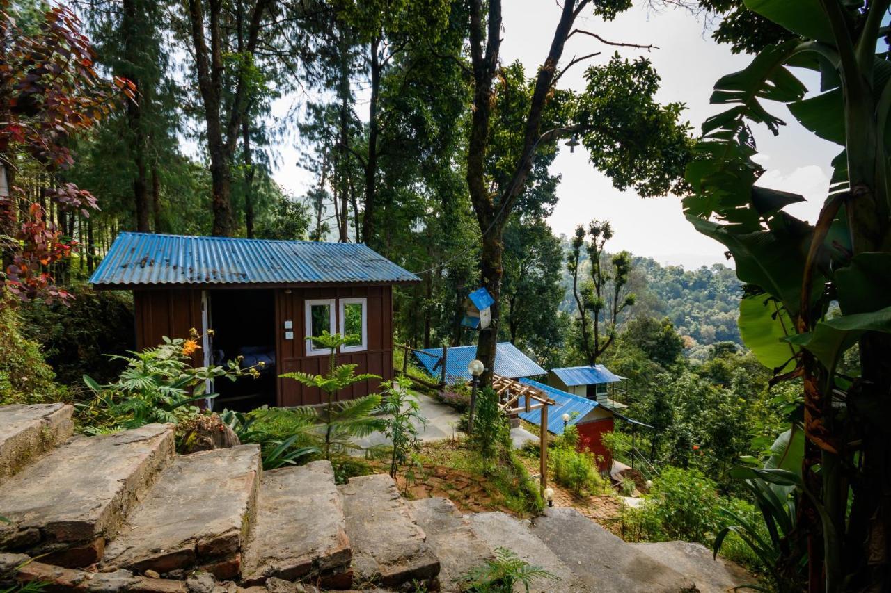 Jungle Crown Organic Homestay ناغاركوت المظهر الخارجي الصورة