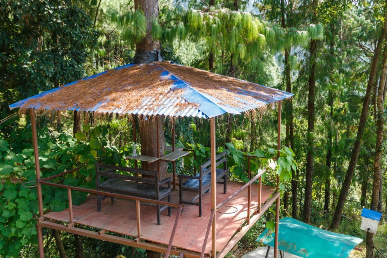 Jungle Crown Organic Homestay ناغاركوت المظهر الخارجي الصورة