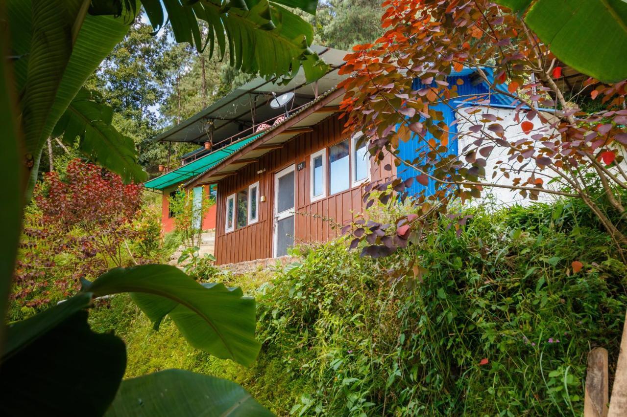 Jungle Crown Organic Homestay ناغاركوت المظهر الخارجي الصورة