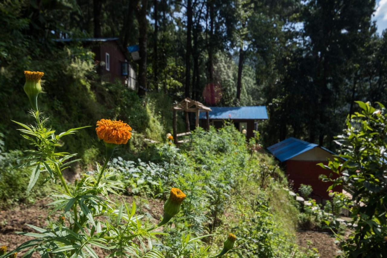 Jungle Crown Organic Homestay ناغاركوت المظهر الخارجي الصورة